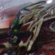 Mandarin Spawn