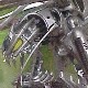 Manga Cyber Violator