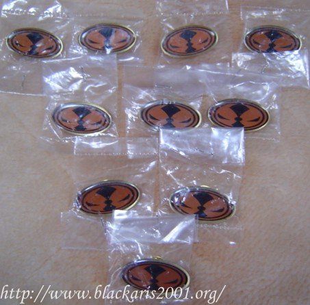 Spawn Pins
